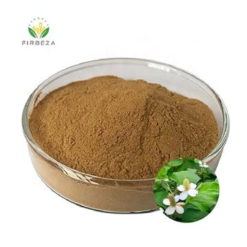 Best Price 100% Natural 10:1 Houttuynia Cordata Herba Houttuyniae Extract Powder